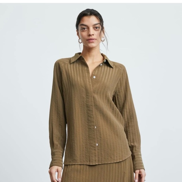 Everlane Tops - Everlane The City Stripe Shirt in Beech Olive Green Sz 6 Viscose Stripe Button